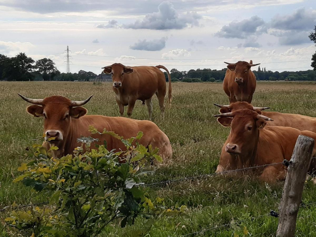Landelijk gelegen Huisje op erf Veeningen Buitenkant foto
