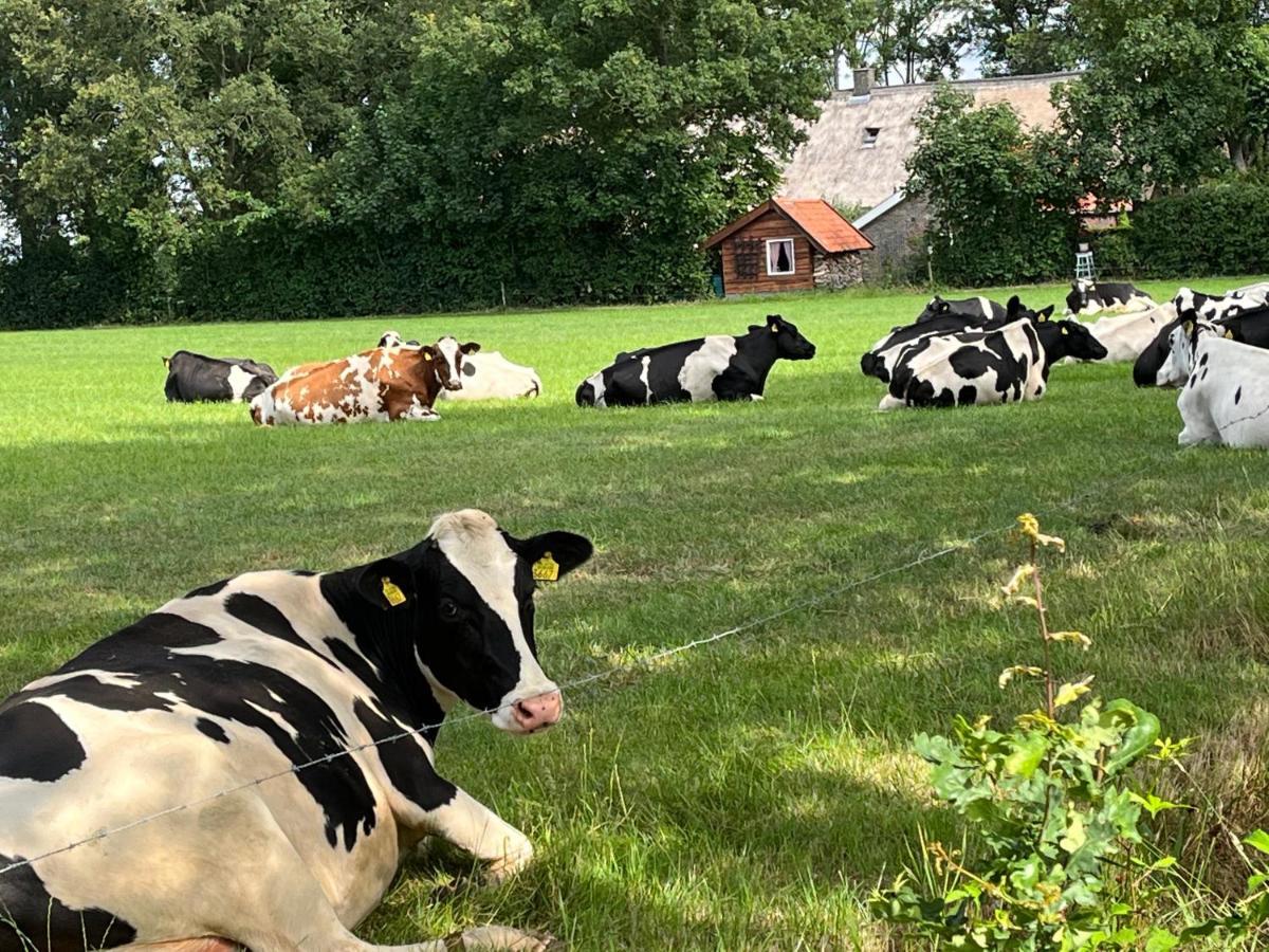 Landelijk gelegen Huisje op erf Veeningen Buitenkant foto